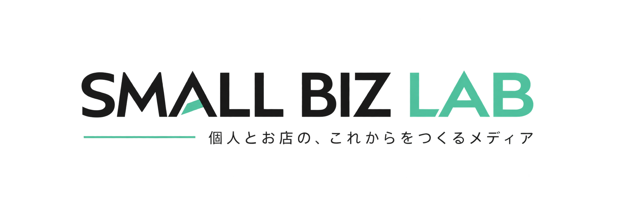 SMALL BIZ LAB